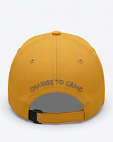 The Orange 2013C Cap
